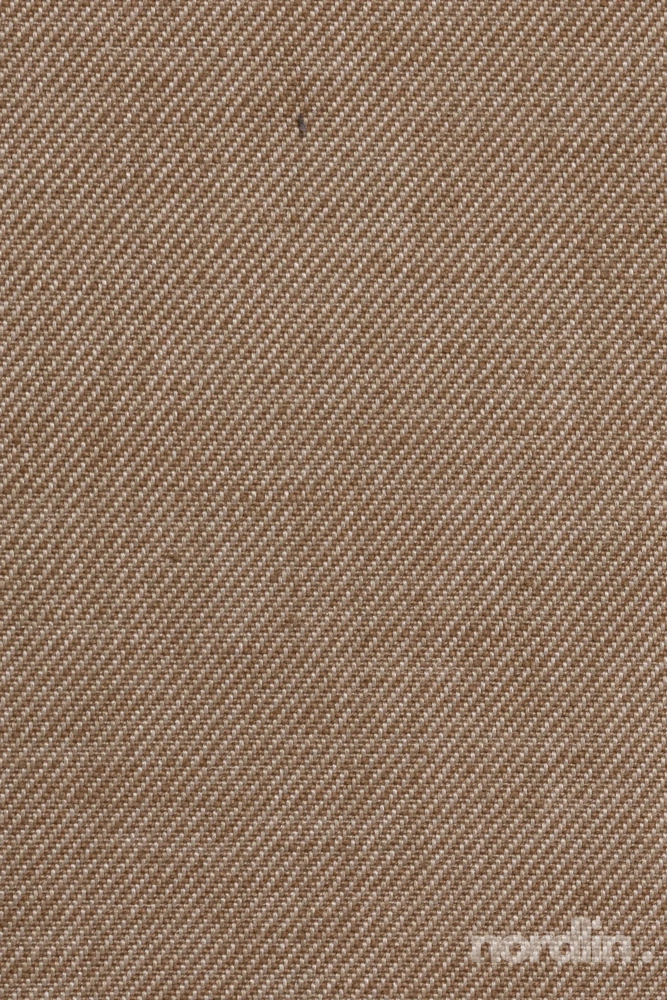 Tailwind dark beige